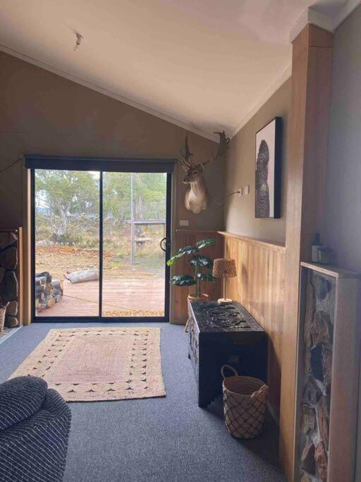 Great Lakes Wilderness Three Bedroom Home Miena Ngoại thất bức ảnh